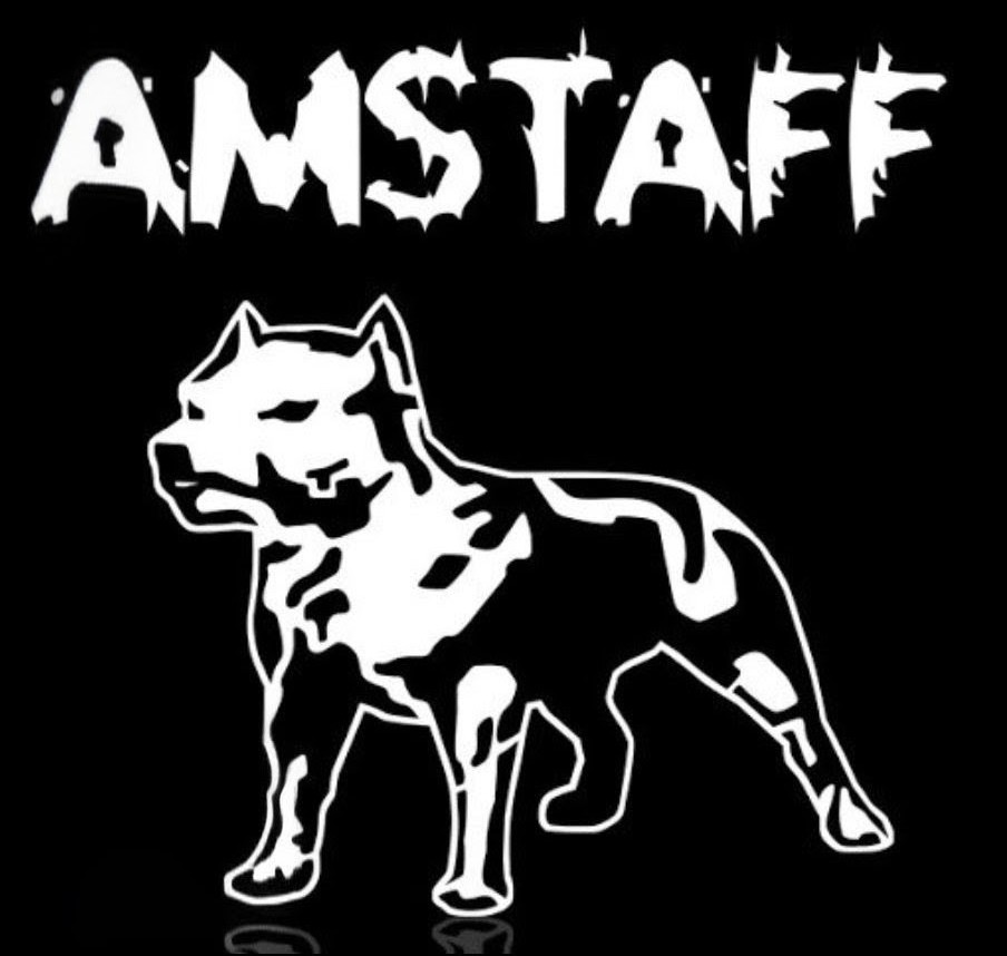AMSTAFF